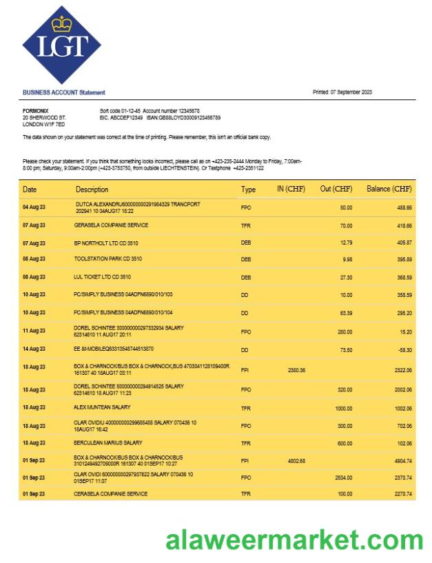 LGT Bank organization checking account statement Word and PDF template